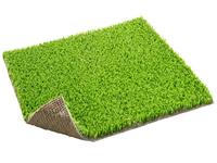 Artificial Grass-Fitter Carpets